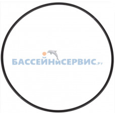 Прокладка-кольцо д.160х3,5 крышки нижней насоса QCK45M Mayer Schwimmbad LX F02010150